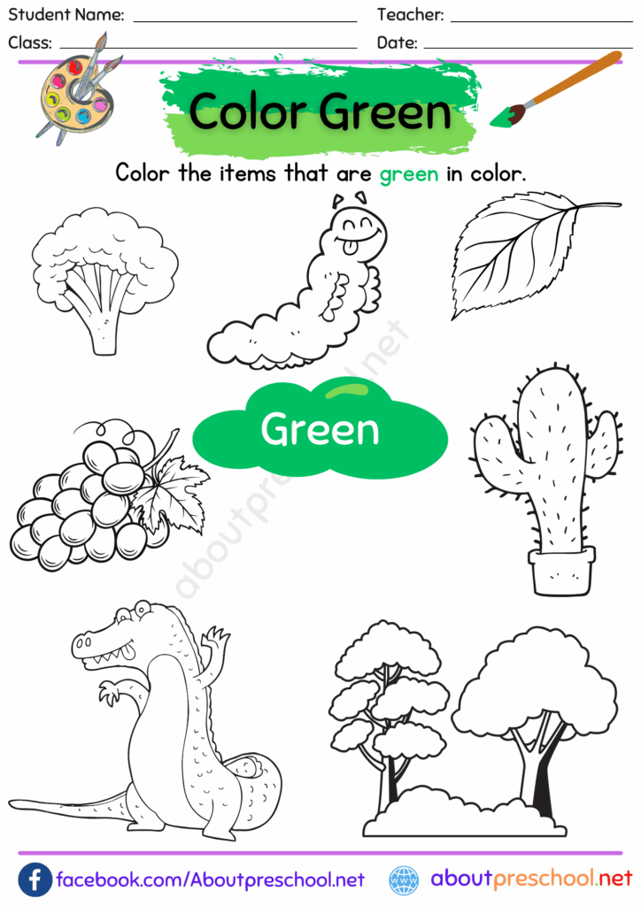 Color Green Worksheets For Preschool - Green Worksheet