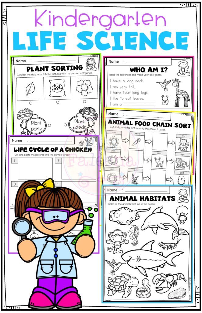 Free Worksheets For Kindergarten Science – Preschool Science Worksheets Free Printables at Eve Milson blog Free Worksheets For Kindergarten Science - Preschool Science Worksheets Free Printables at Eve Milson blog