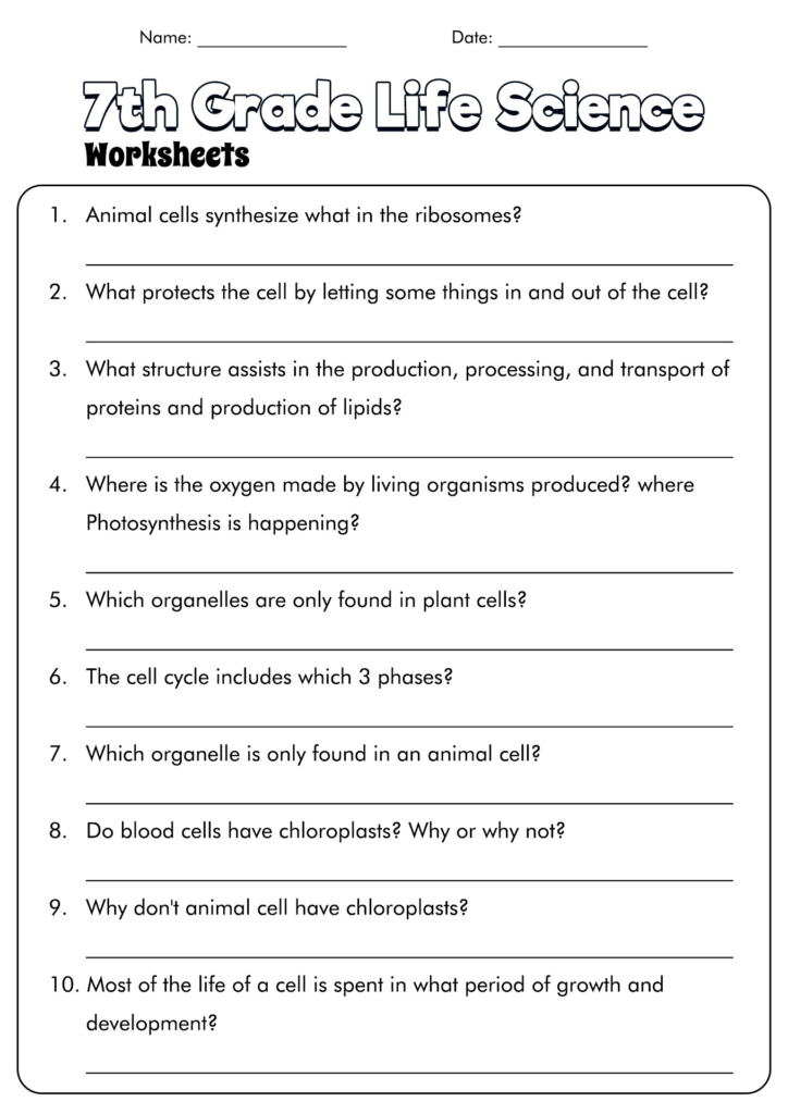 Science For 7th Graders Worksheets – 7Th Grade Science Worksheets | Planner Hexagon Science For 7th Graders Worksheets - 7Th Grade Science Worksheets | Planner Hexagon