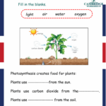 Science Worksheets For Grade 2 - Grade 2 Science Worksheets - Science-Worksheets.com