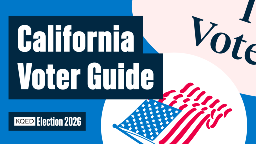 voterguide voterguide
